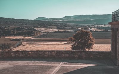 Paradas obligatorias en Pamplona
